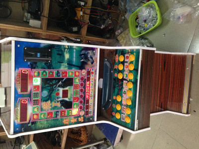 玉林电玩设备 小机台水果机、捕鱼机与大型游戏机全解析